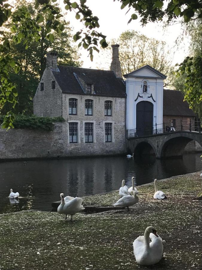The Bank 1869 - Unique Guestrooms In The Historic Center Of Bruges Exterior foto